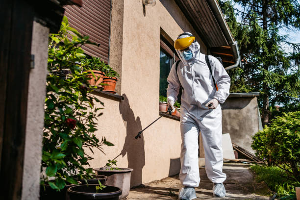 Best Affordable Exterminators  in Manchester, KY