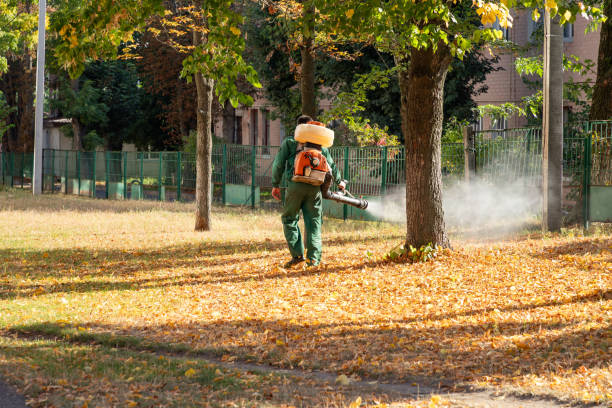 Best Cockroach Control Services  in Manchester, KY